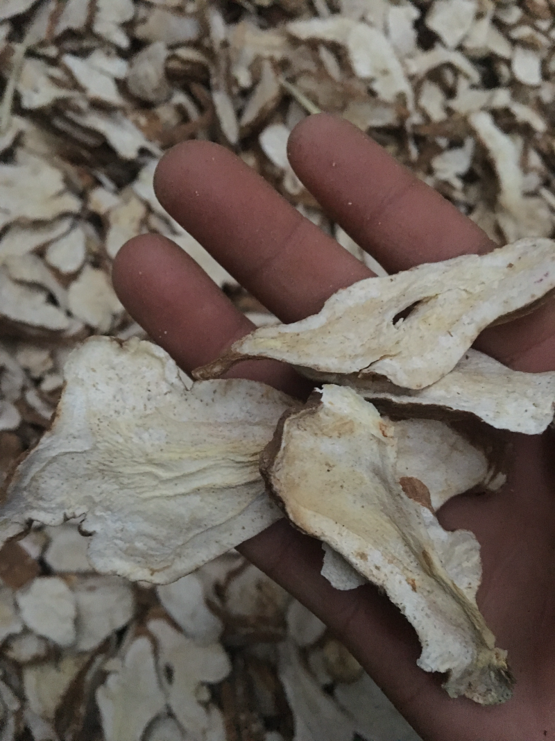白术精品优质中药材好货推荐