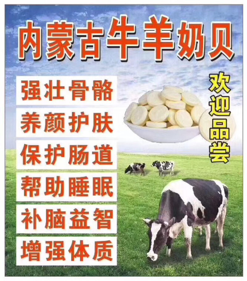 内蒙古牛奶贝羊奶贝驼奶贝奶酪牛奶粉羊奶粉燕麦椰子贝粉