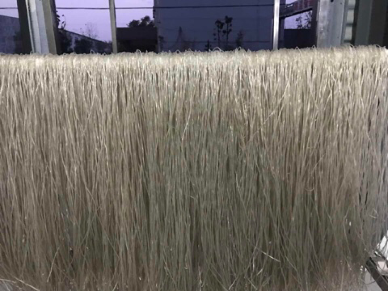 粉丝