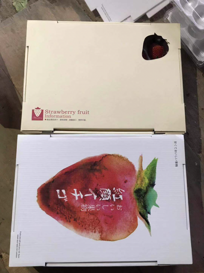 浙江水果新鲜草莓红颜草莓供应大厅诚招代理