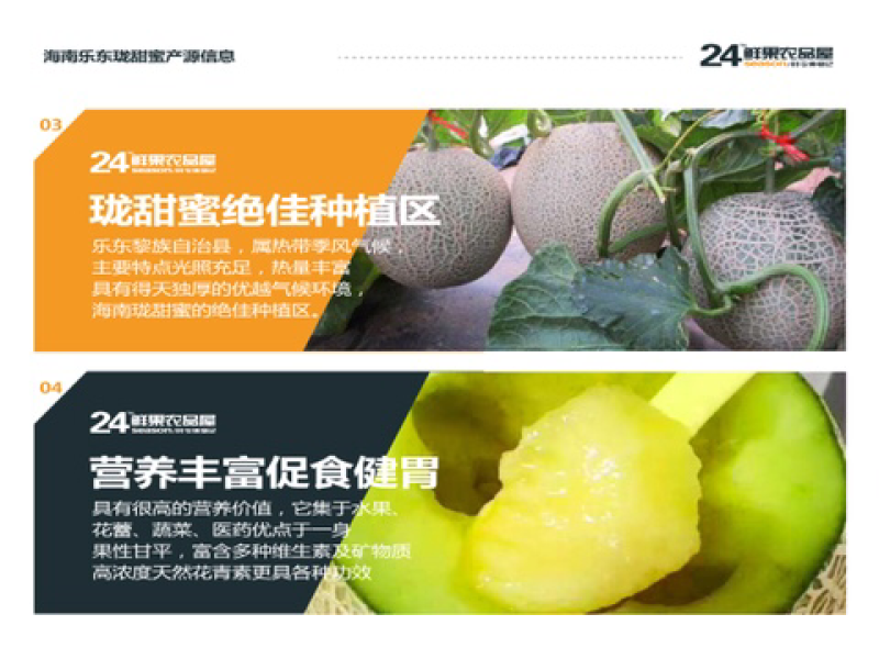网纹瓜