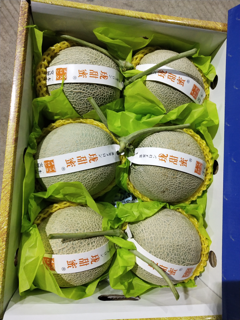 网纹瓜