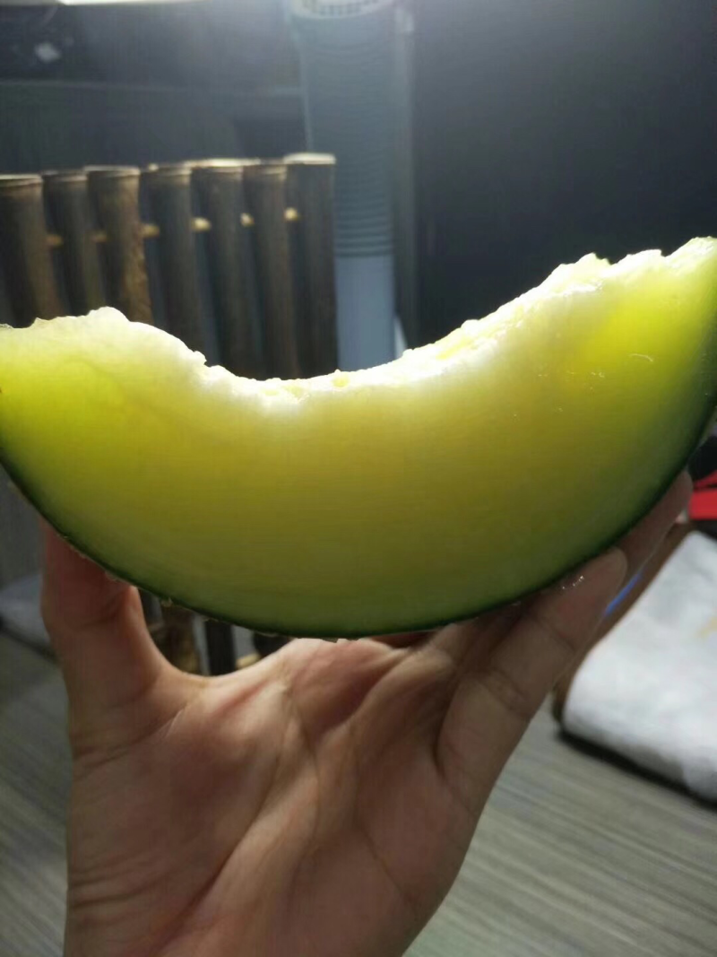 网纹瓜