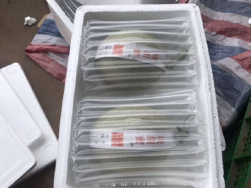 网纹瓜