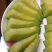 网纹瓜