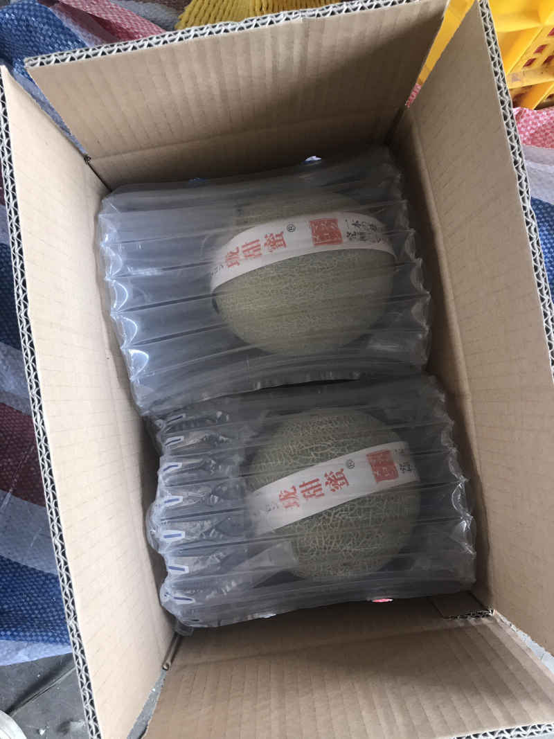 网纹瓜