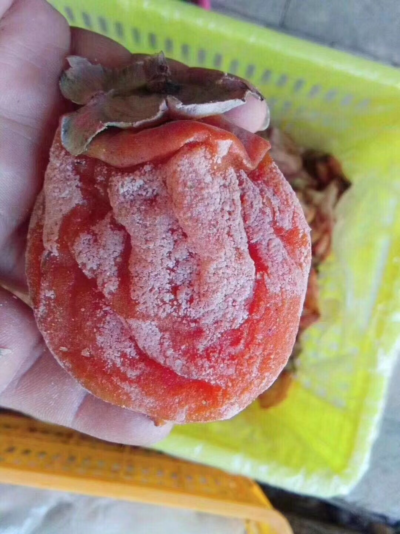 富平好柿饼