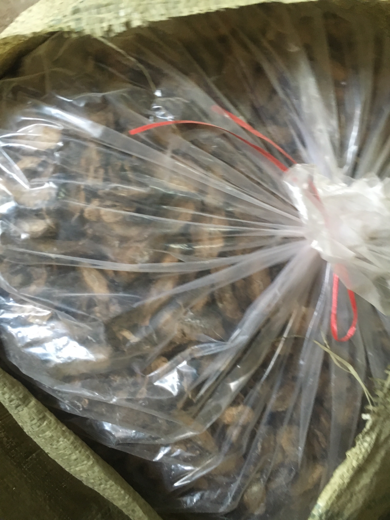 带皮搓皮牛蒡干片嗮干片每斤10元