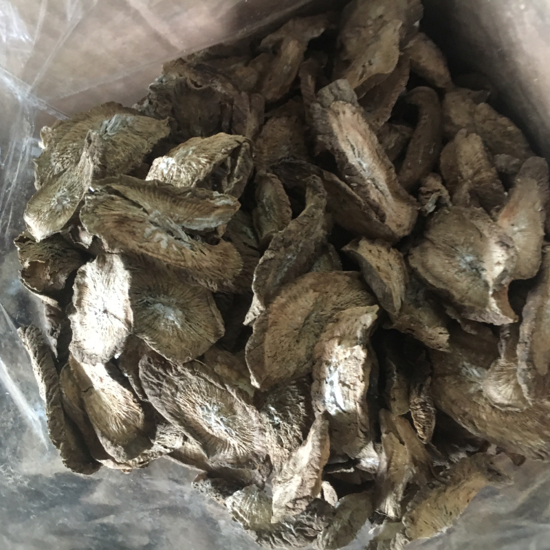 带皮搓皮牛蒡干片嗮干片每斤10元