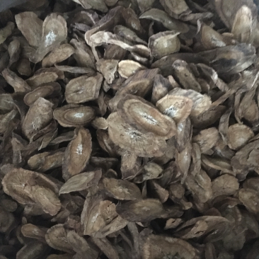 带皮搓皮牛蒡干片嗮干片每斤10元