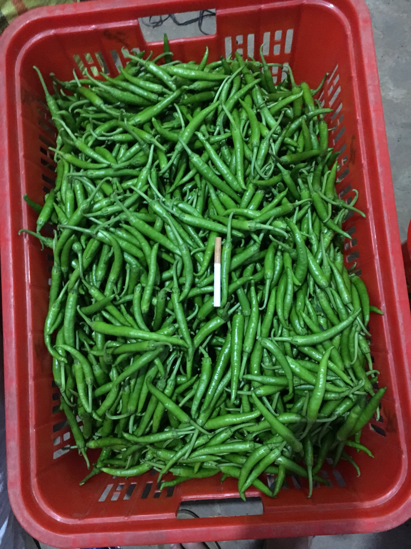 鸡爪椒..