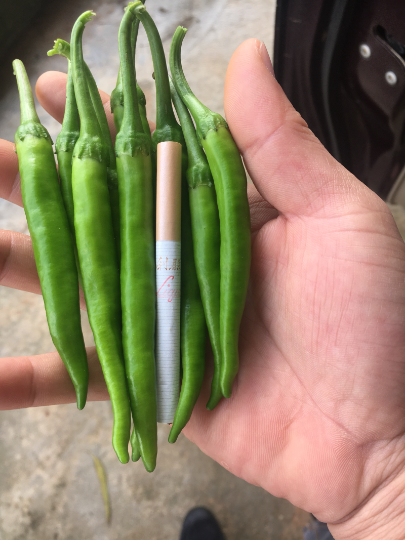 鸡爪椒..