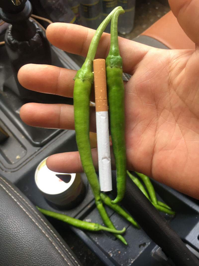 鸡爪椒..