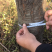樱花百日红批发