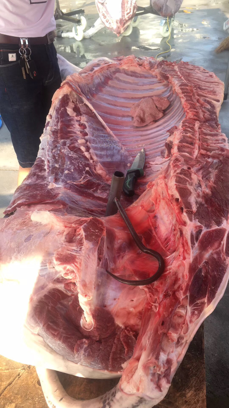 驴肉