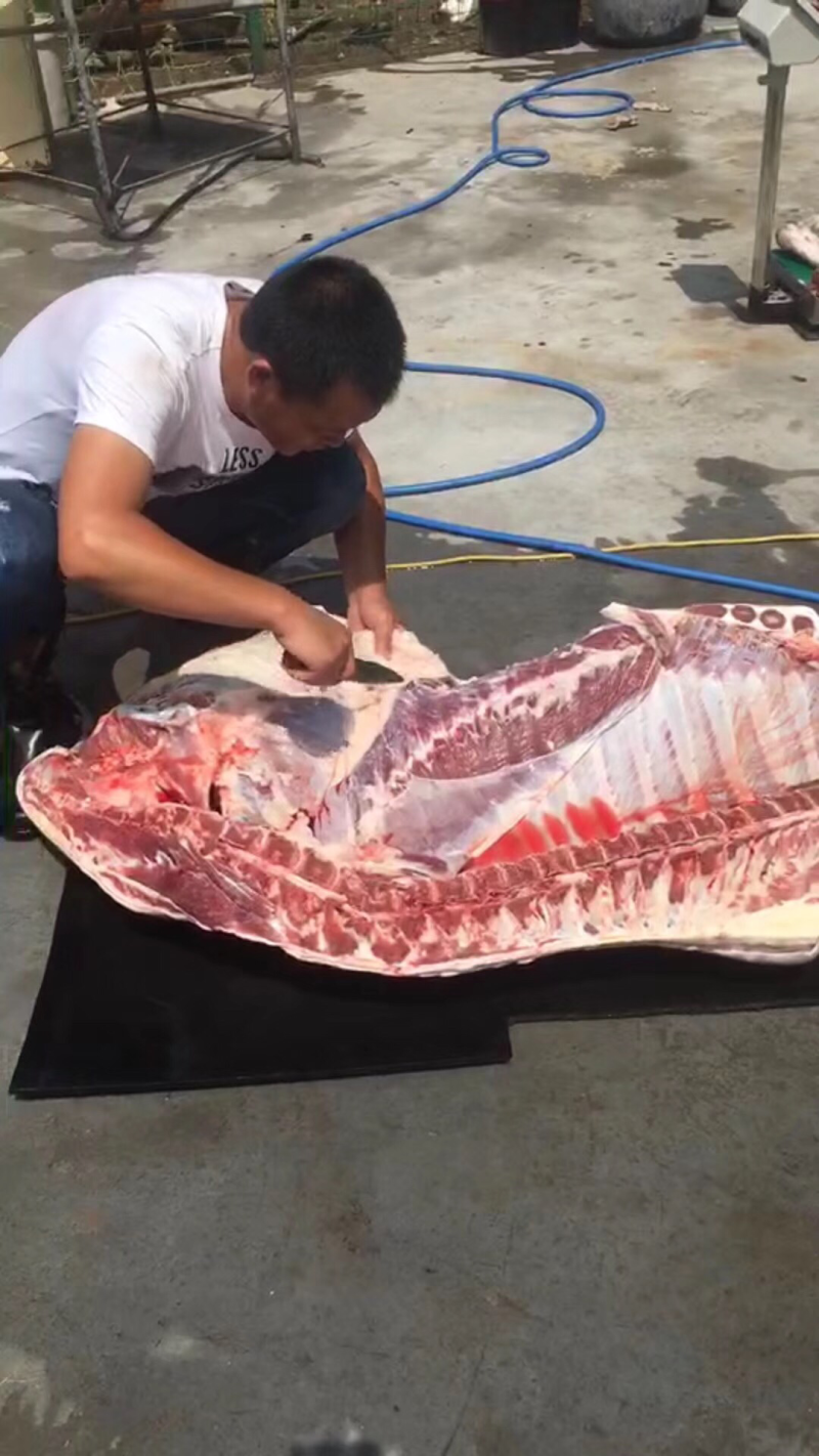 驴肉