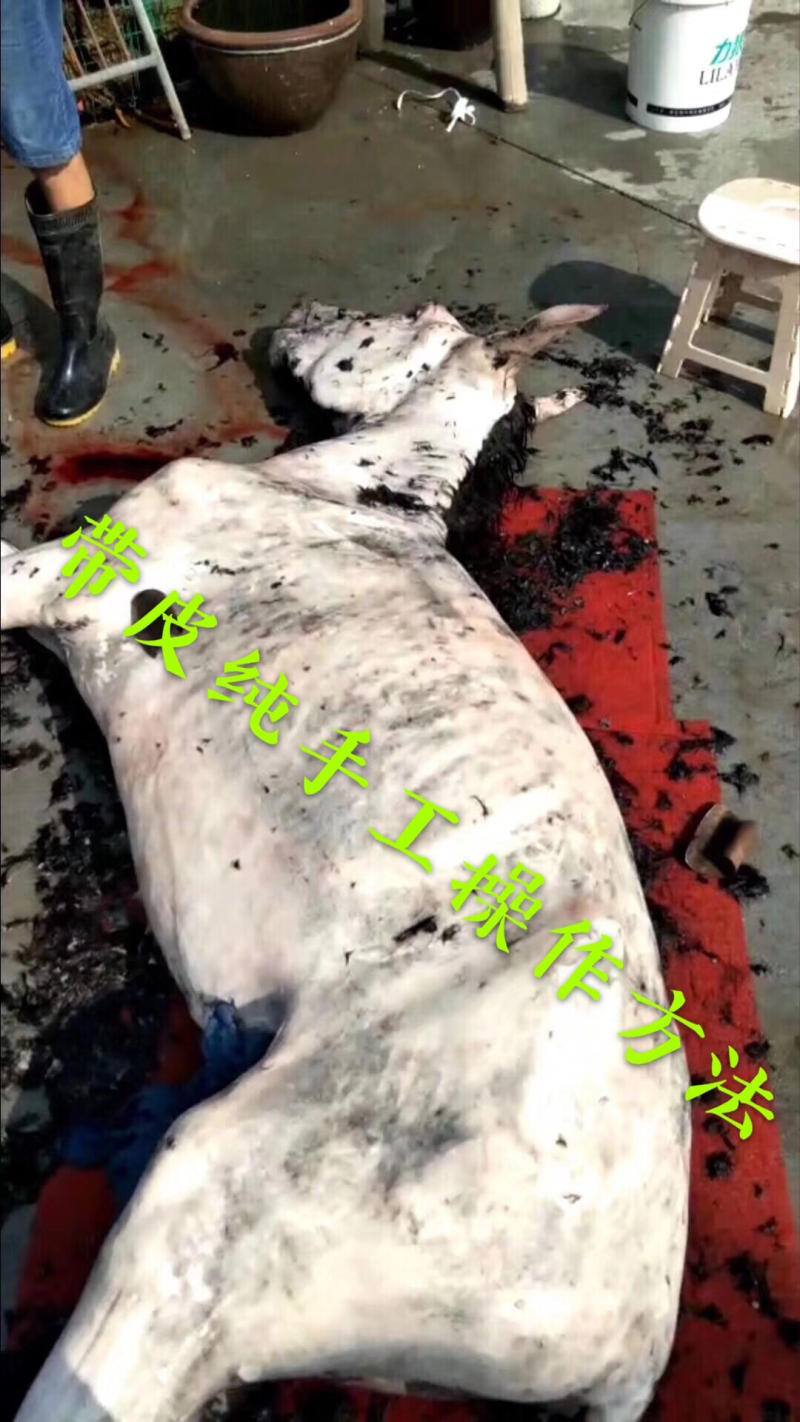 驴肉