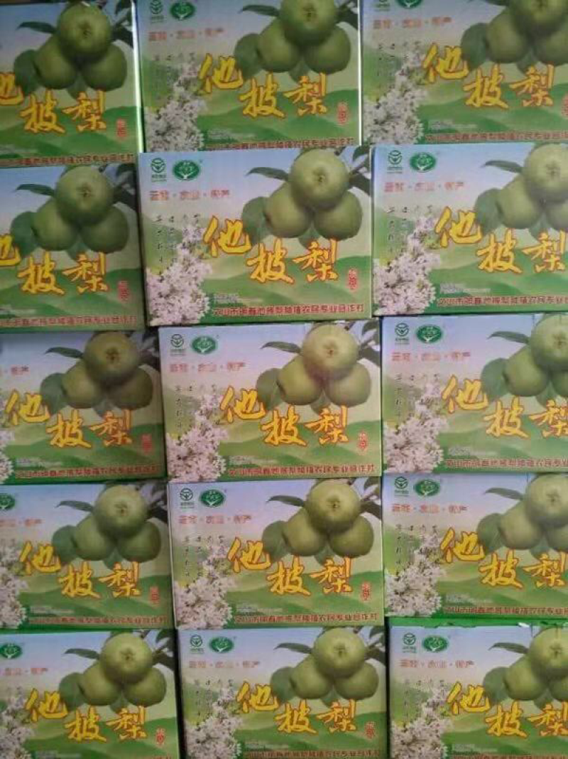 云南省文山卅高原他披梨