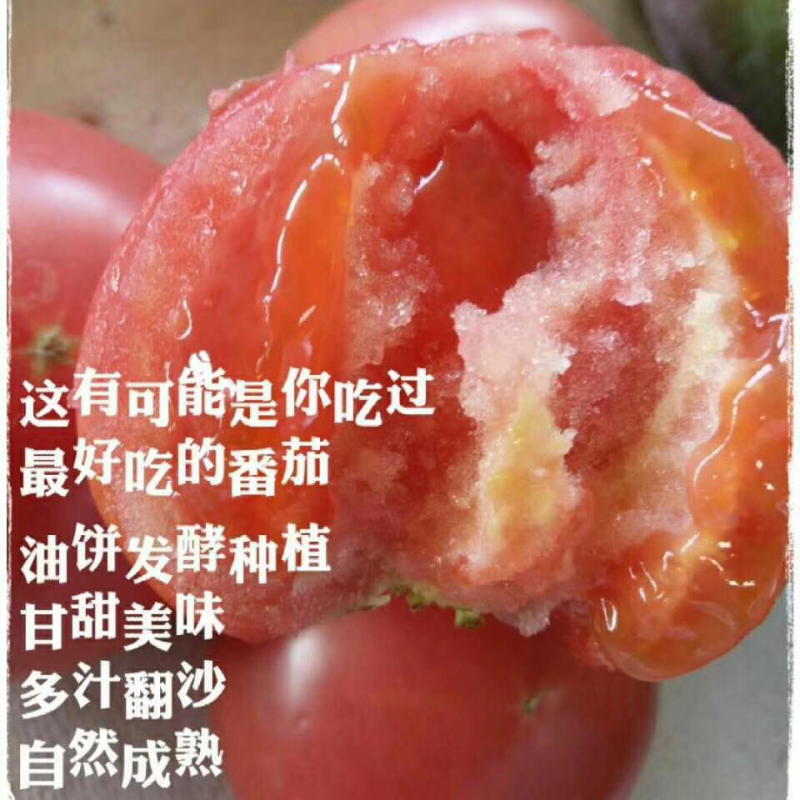 有机西红柿