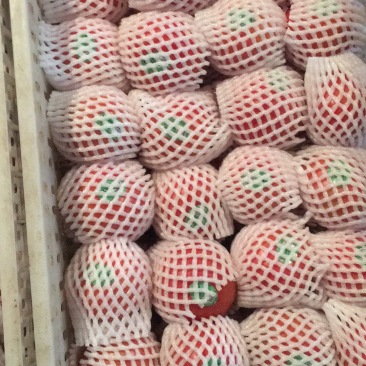 有机西红柿