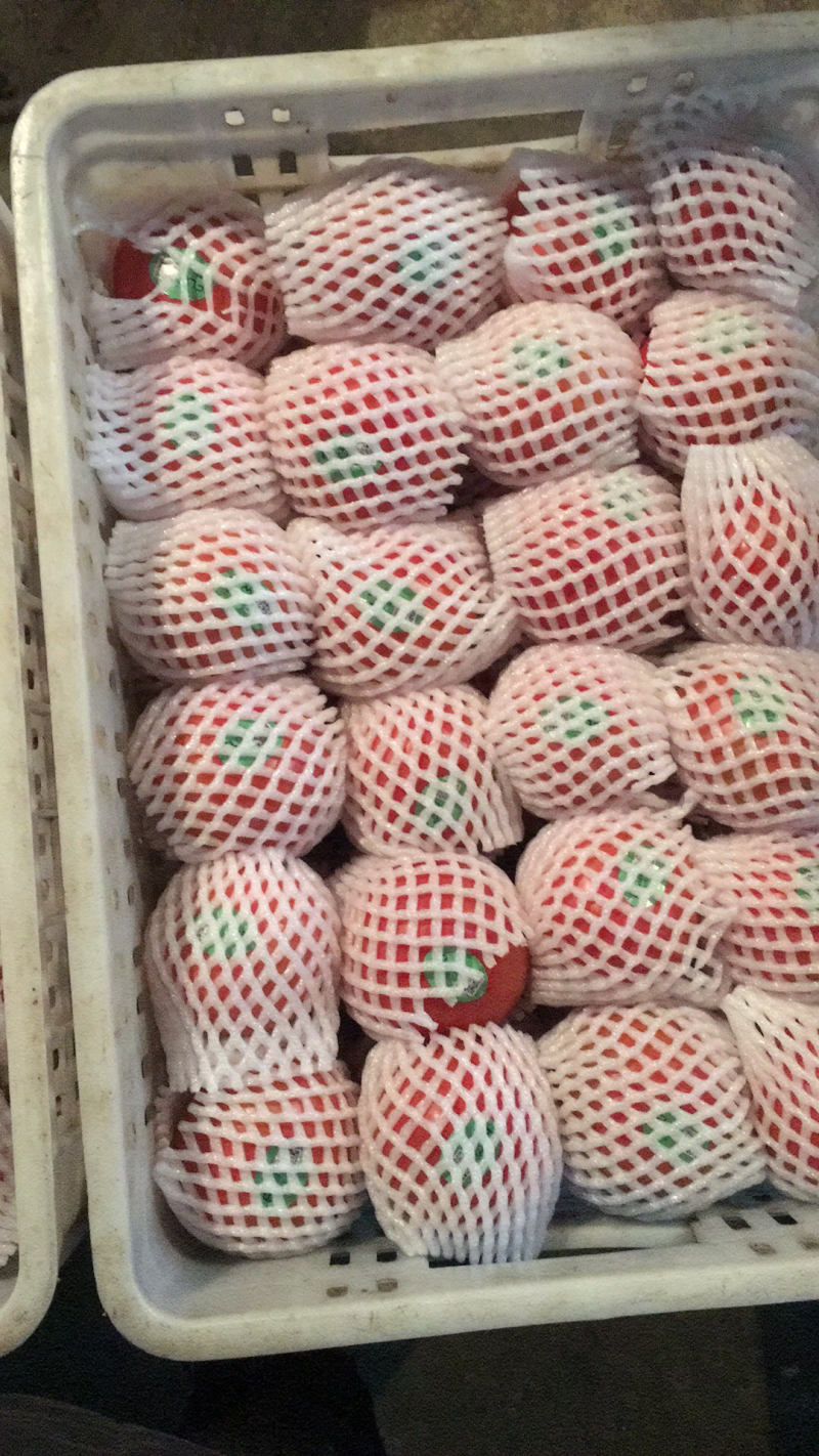 有机西红柿