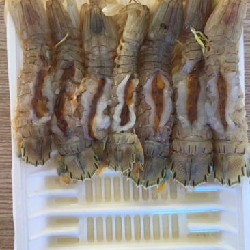 生腌皮皮虾，虾爬子，小飞蟹，花盖蟹