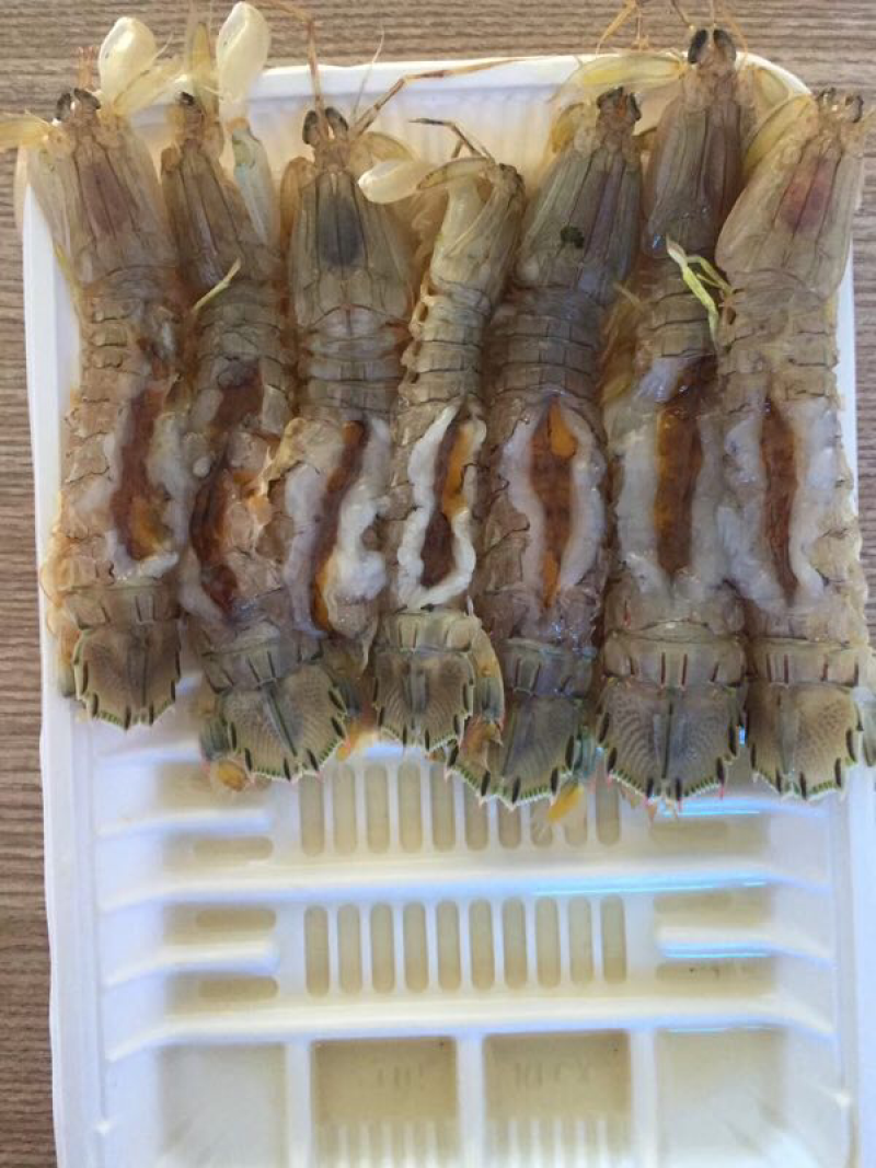 生腌皮皮虾，虾爬子，小飞蟹，花盖蟹