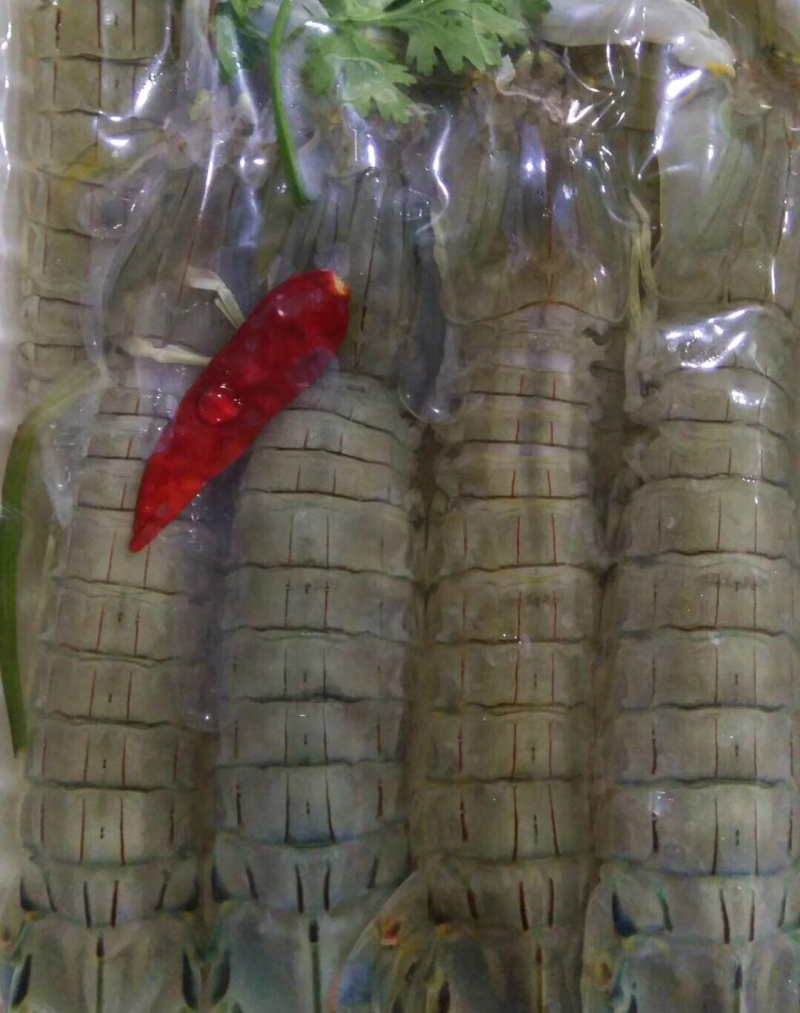 生腌皮皮虾，虾爬子，小飞蟹，花盖蟹