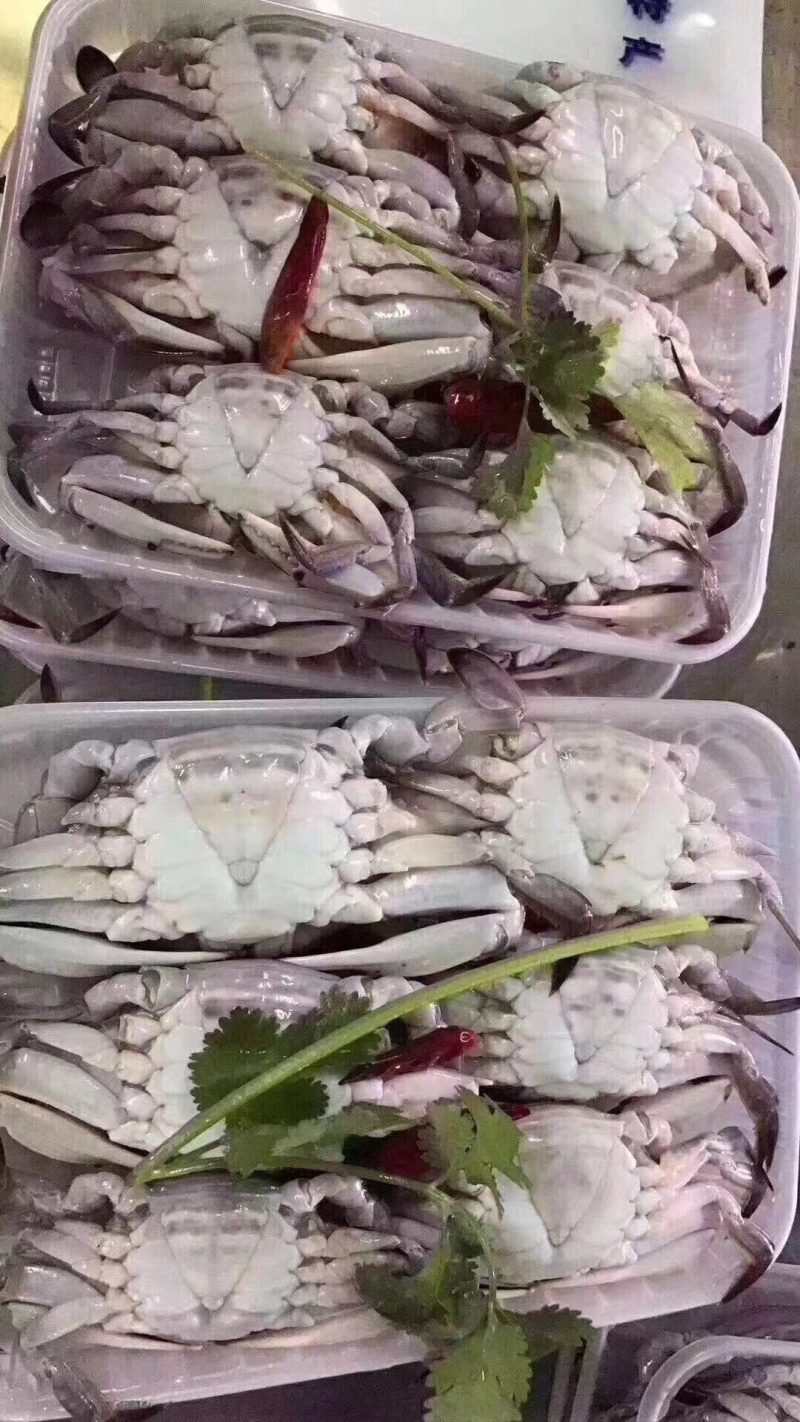 生腌皮皮虾，虾爬子，小飞蟹，花盖蟹