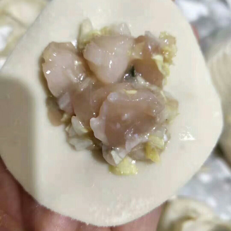 扇贝丁