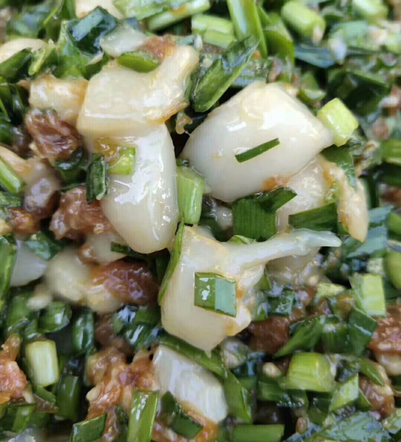 扇贝丁