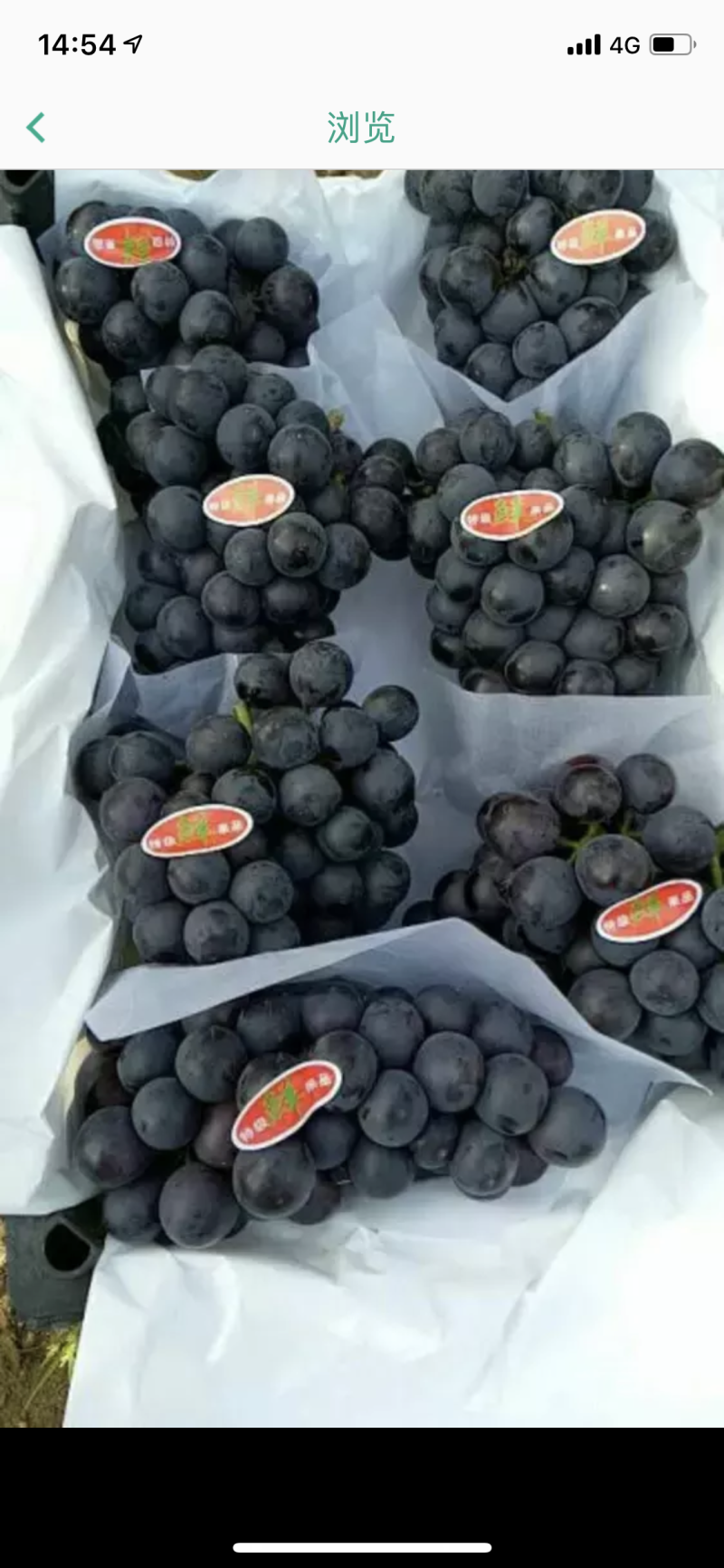 辽宁巨峰葡萄精品