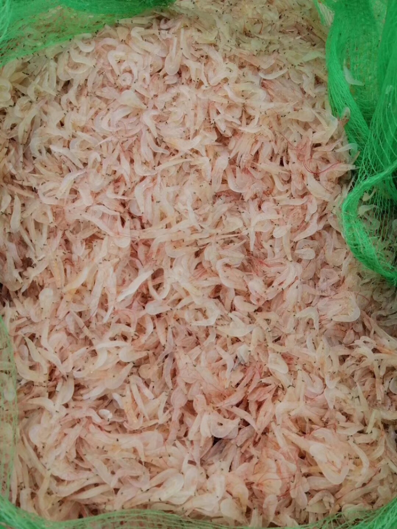 虾皮