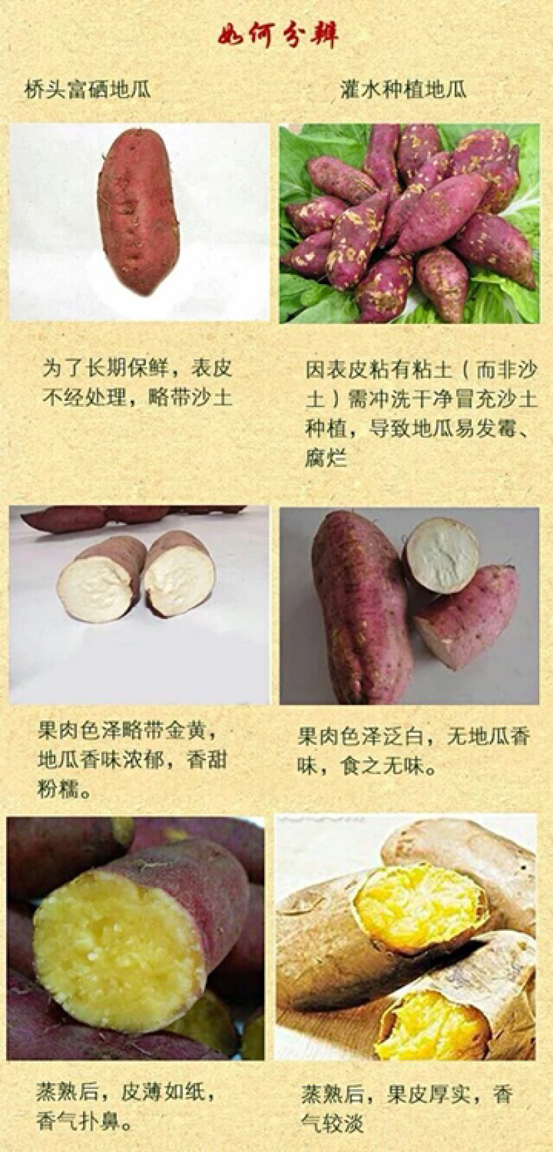 桥头地瓜：板栗薯10斤礼盒套装产地供应：全国发货