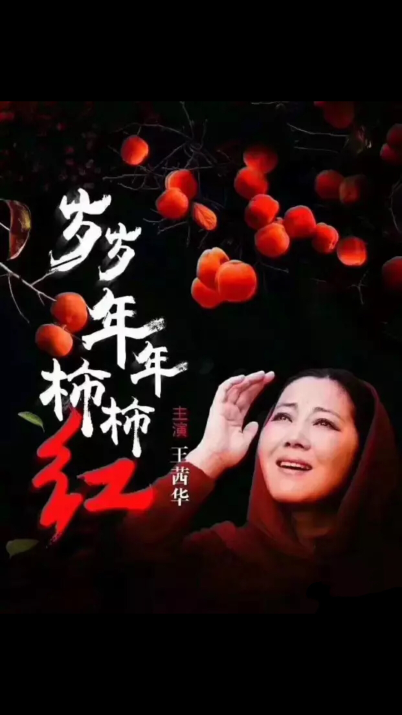 陕西富平曹村柿饼（礼盒）中国柿乡支持代发零售批发