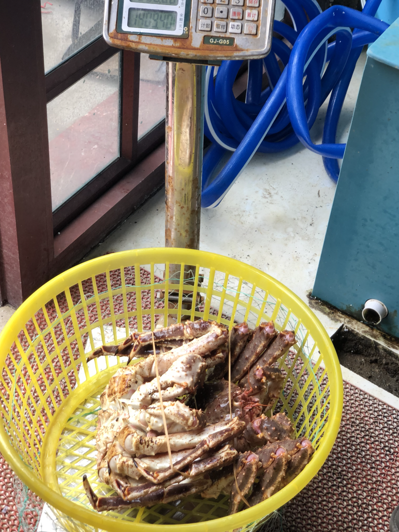 鲜活阿拉斯加帝王蟹进口大帝王蟹