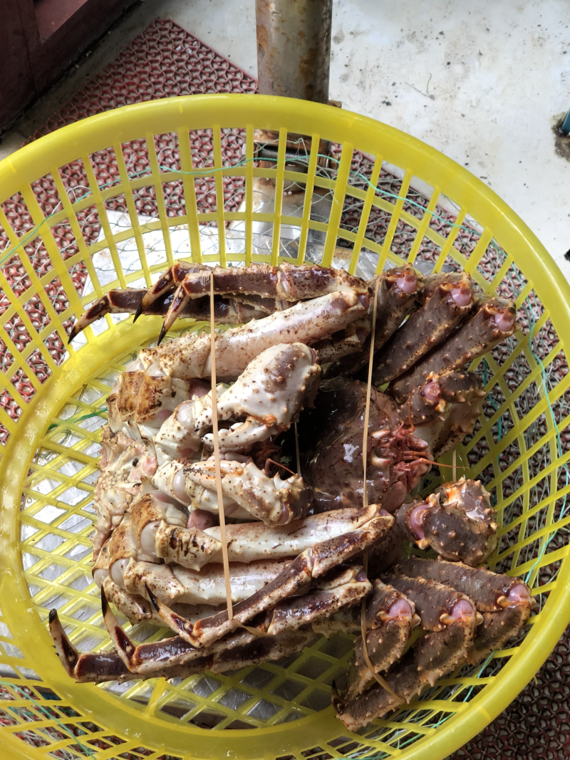 鲜活阿拉斯加帝王蟹进口大帝王蟹