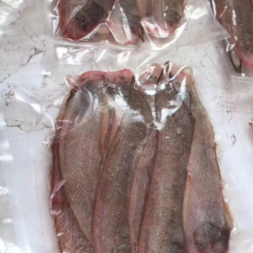 龙利鱼，鲽形目，子板鱼，舌鳎科，舌鳎属，批发