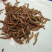 麻虾干