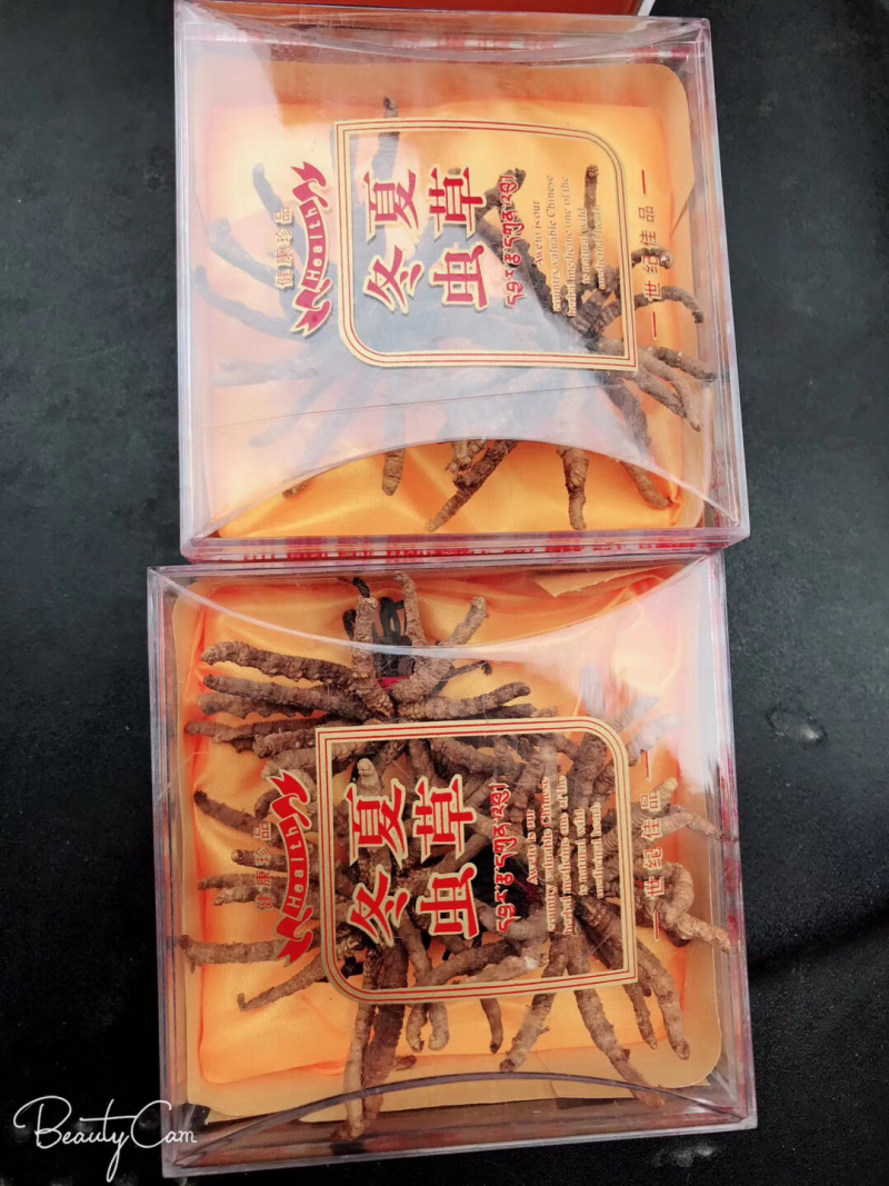 正宗野生冬虫夏草
