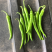 鸡爪椒﹥10-20