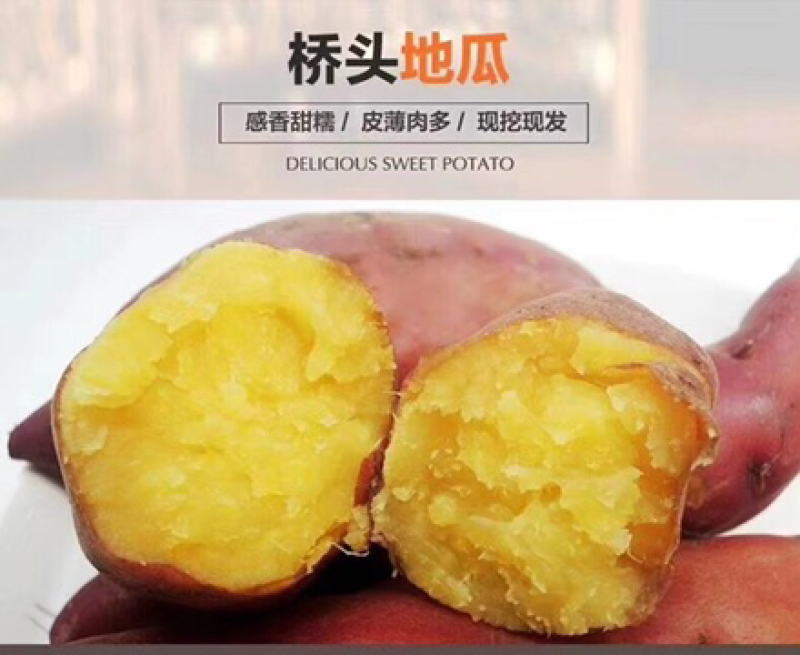 桥头地瓜：板栗薯：产地供应：批发零售：全国发货