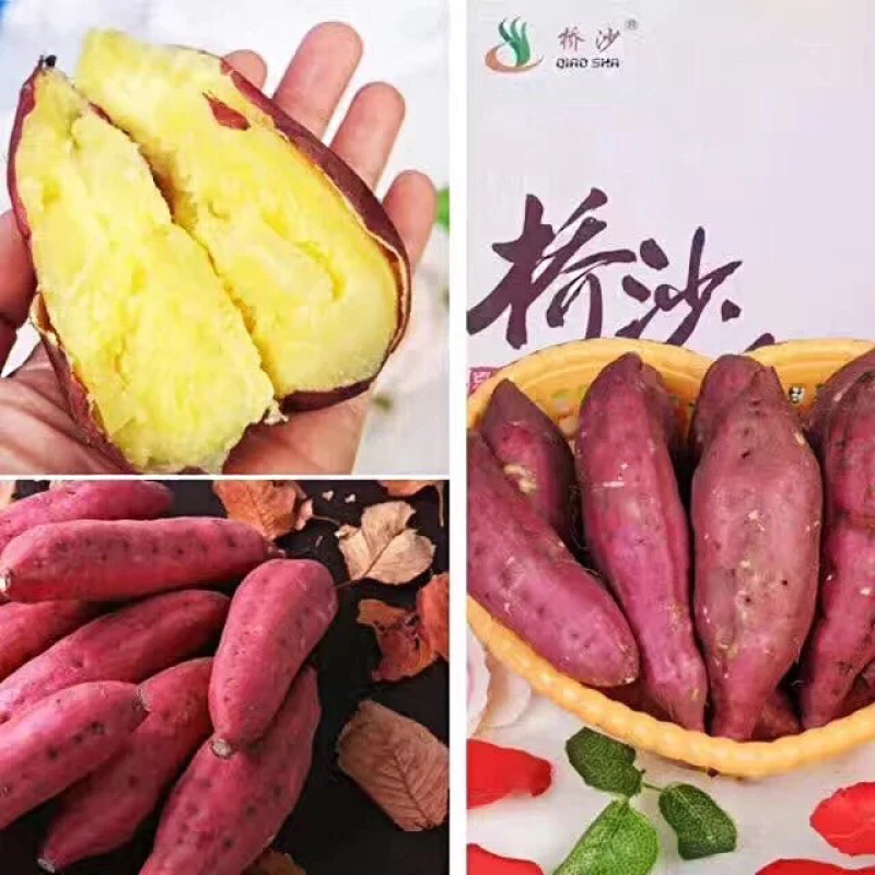 桥头地瓜：板栗薯：产地供应：批发零售：全国发货