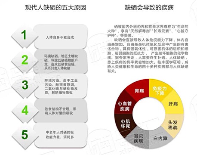 桥头地瓜板栗薯5斤礼盒装社区团购专用产地直销