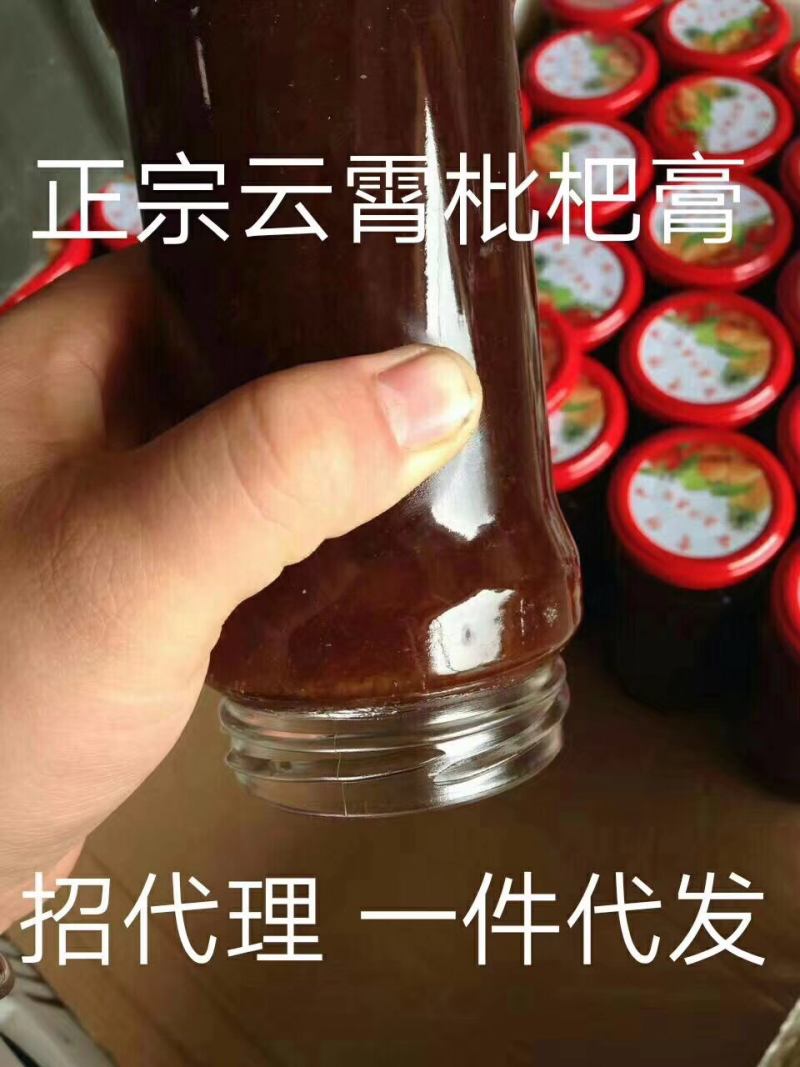 川贝枇杷膏.润肺孕妇小孩都可以实用放心安全有保障