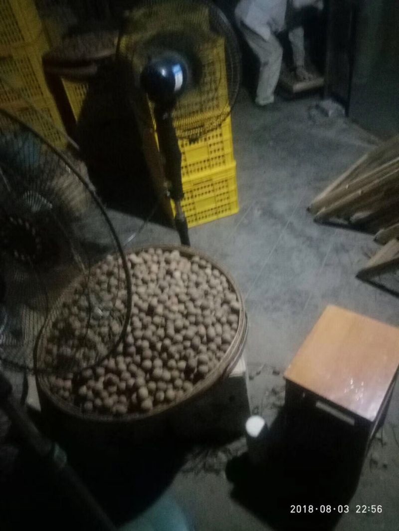 【有好货】高州桂圆肉无核特级龙眼肉干非莆田泰国货