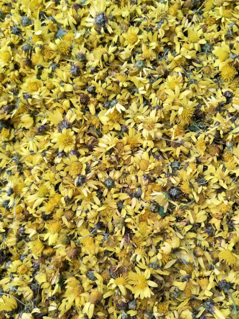 大量出售干菊花！