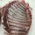 禽畜牧蛋肉