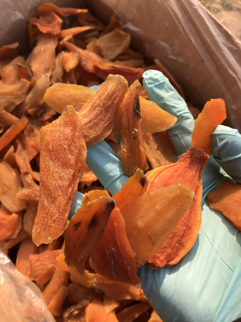 初级倒蒸地瓜干红薯干蜜薯干条片龙九红