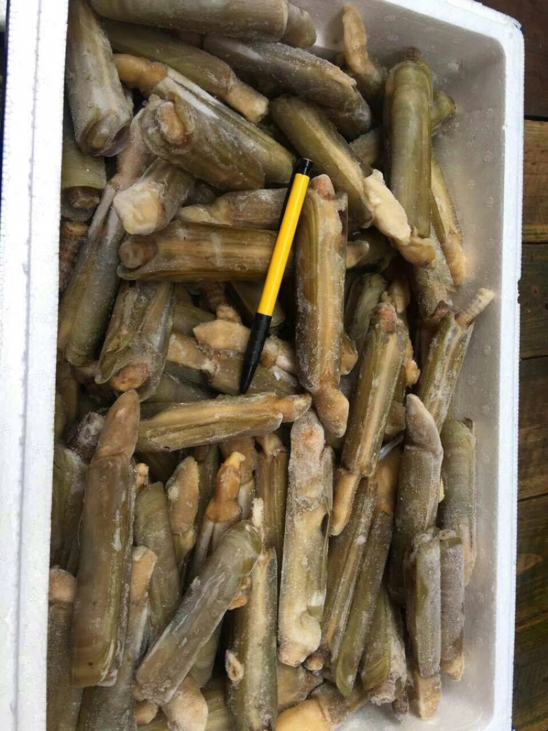 速冻大圣子王